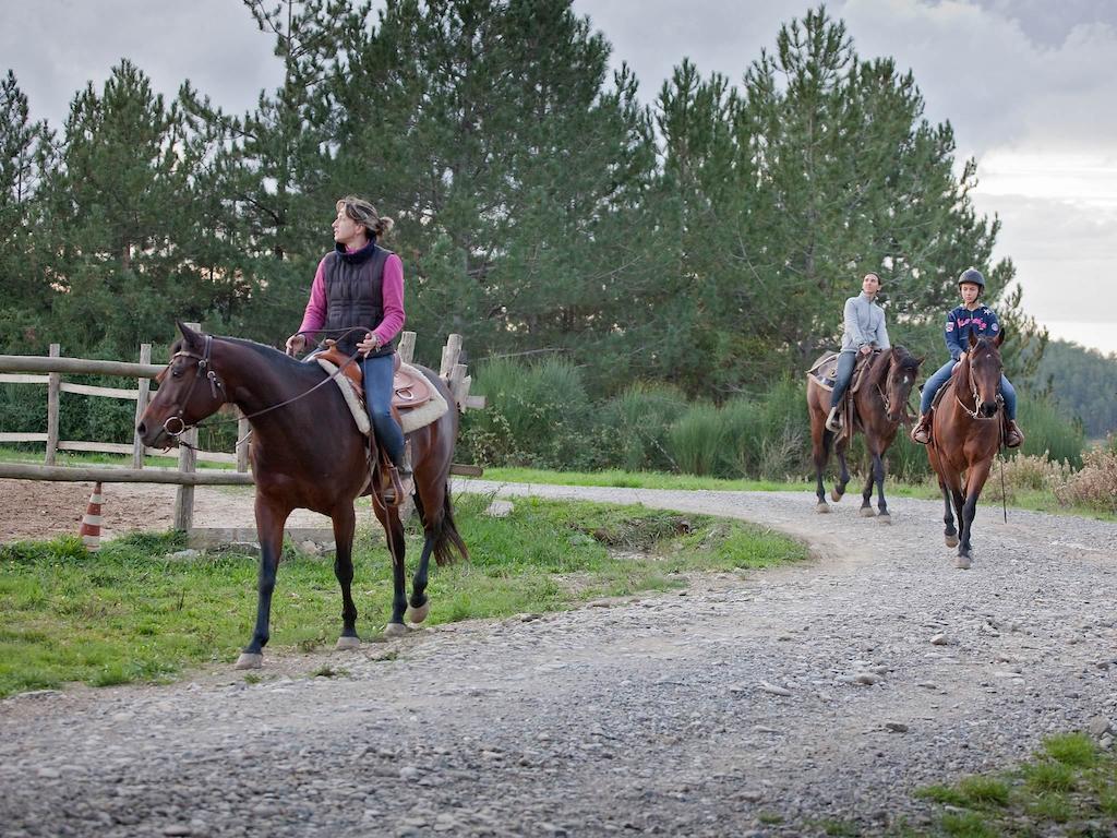 Tenuta La Silva Seggiano المظهر الخارجي الصورة