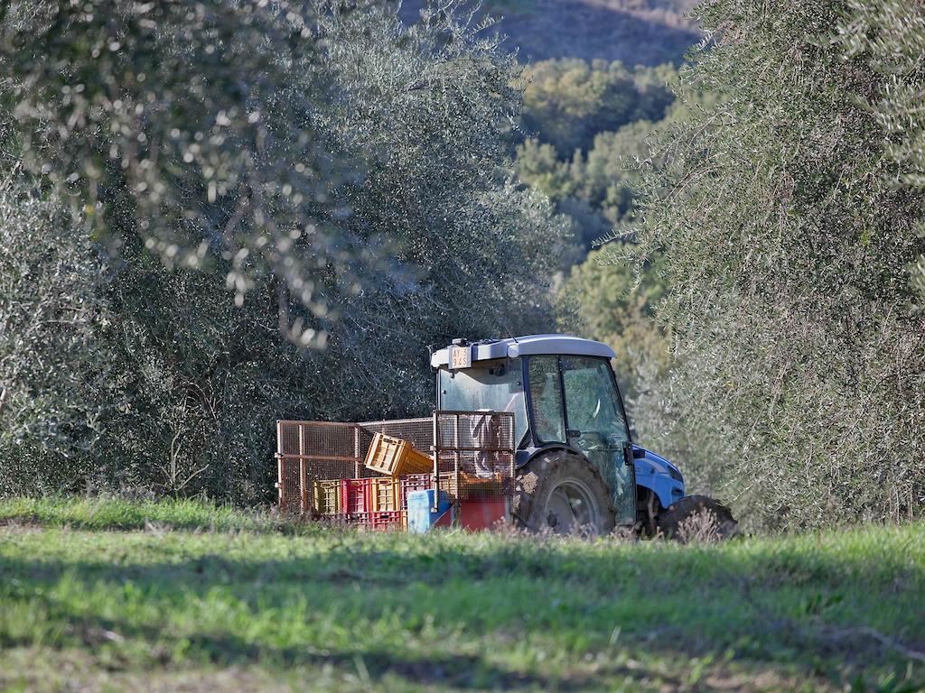 Tenuta La Silva Seggiano المظهر الخارجي الصورة