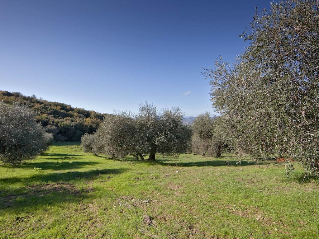 Tenuta La Silva Seggiano المظهر الخارجي الصورة