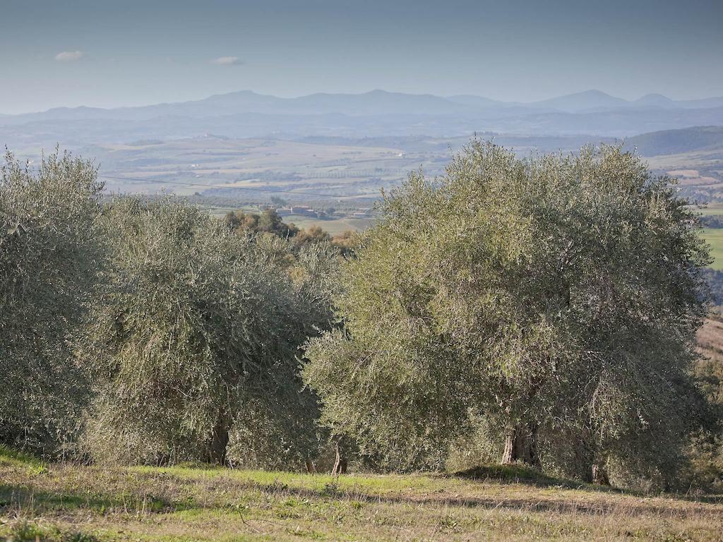 Tenuta La Silva Seggiano المظهر الخارجي الصورة