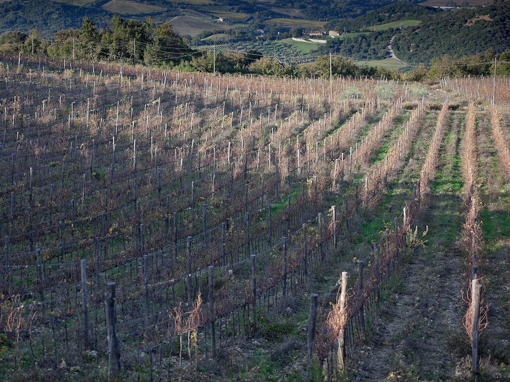 Tenuta La Silva Seggiano المظهر الخارجي الصورة